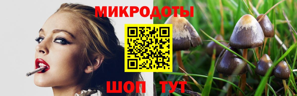 Галлюциногенные грибы Psilocybine cubensis  Вход с VPN  Дедовск 